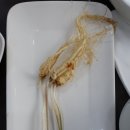 대왕삼계탕 - 경주시 | 대왕삼계탕