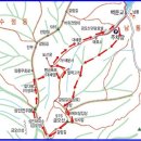 금오농협주유소 이미지