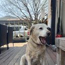 솜씨공방 | 공주동학사카페 솜씨공방카페 후기 | 동학사사주 진짜 잘 보는 곳