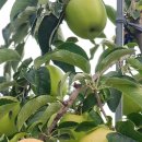 성광농장 이미지