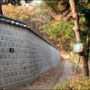 개화산 진입로 Daum카페