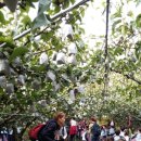 김정숙 농장 이미지