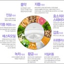 진메디팜 이미지