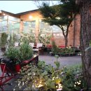 주물럭피크닉 이미지