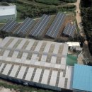 유성2태양광발전소 이미지