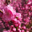 숲생태유치원 이미지