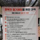 다은딸기 이미지