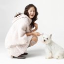 놀자 Daum카페