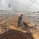 해찬농장 이미지