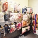 디어도그 이미지