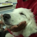 종일농장 이미지