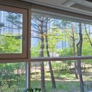 도안일등공인중개사사무소 이미지