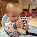스마트중기 - 1102 | 베베쿡 실온이유식 휴대용 파우치형 컵형 중기 후기 완료기 아기 외출 필수템 추천