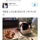 금천문