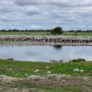 11545-02-37-23 | 26년 아프리카7개국 37일 [팬플룻연주 투어] 23일차ᆢ 조우상팬플룻/팬타곤