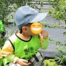 길음농장 이미지