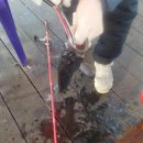 CU(대산삼길포점) 이미지