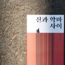 헬무트 이미지
