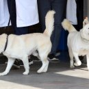 송강동물병원 이미지