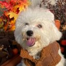 역골농장 이미지