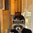 관저중로-9 이미지