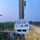 [제주 맛집 추천] 흑돼지 고기+조랑말 체험까지! “마녀상회” 방문 후기
