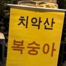 원원나인