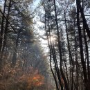 마산 봉암수원지 이미지