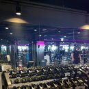 덤덤 휘트니스 이미지