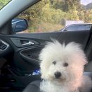 영덕사랑동물병원 이미지