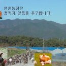 연천농장 이미지