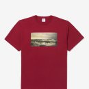 MRTS | 노아 noah 더 서퍼티 카디널 반팔 티셔츠 리뷰 &amp;착용