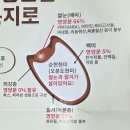 쌀눈쌀누룽지 | 가바 쌀눈현미 누룽지, 영양가득 가바 누룽지