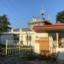 선흘 언니네 이미지