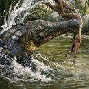 사르코수쿠스 이미지