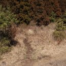 효명목장 이미지