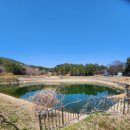 대강행정복지센터 이미지