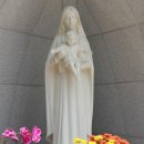 천주교 상동 성당 이미지