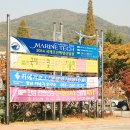 시 지정게시대(저단형 게시대) 이미지