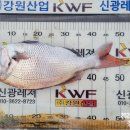 신광낚시 이미지