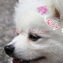 헤어온담