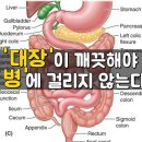 대장이 깨끗해야 병에 걸리지 않는다 이미지