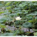 동국농장 이미지