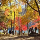 반변천 강변자전거길(서) | 춘천 가볼만한 곳 남이섬 단풍 주차 입장권 정리