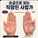 아라몰리 | 26년 50%