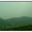 미암2리 이미지