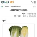 제일농수산유통 | [한국농수산식품유통공사] 카미위키 이용 후기 & 활용사례🥬