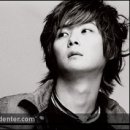 너울가지 이미지