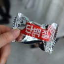 엄마손정육 - 강서구 방화동로16길 22 | 🗓️ 2026.06_2, 다이어트 시작, 동거인 생일, 인벤타리오, 동대문 원단 시장, 낮술, 너바나 더 밴드...