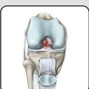 내포정성한의원 이미지
